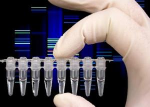 تحقیقات مولکولی PCR