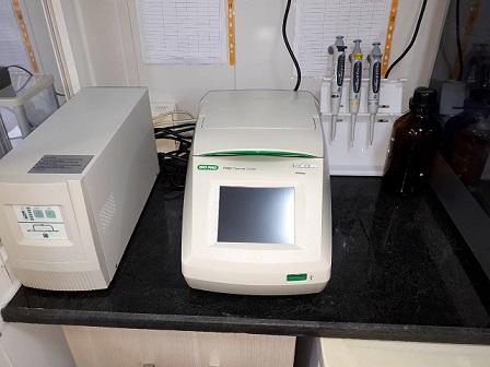 آزمایشات بخش تحقیقات مولکولی PCR